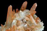 Natural, Red Quartz Crystal Cluster - Morocco #128069-2